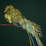 Елочная игрушка Птичка Chorale 20 см, клипса