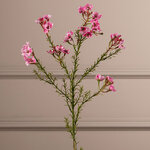 Искусcтвенная ветка Хамелациум - Curelo 67 см