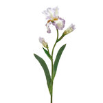 Искусственный цветок Ирис - Carmelo 80 см