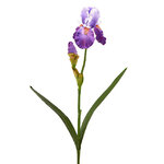 Искусственный цветок Ирис - Viola de Mar 75 см