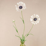 Искуcственный цветок Scabiosa - Perfecta White 65 см