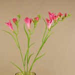 Искуcственный цветок Фрезия - Gara di Atlanta 65 см