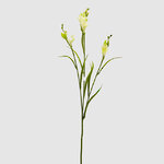Искуcственный цветок Фрезия - Refracta Alba 65 см