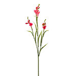 Искуcственный цветок Фрезия - Gara di Atlanta 65 см