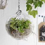 Стеклянный шар для декора Мелоне 12 см