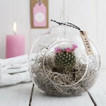 Стеклянный шар для декора Melone 14 см