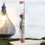 Стеклянная колба с цветами Floricco: Almero 20*3 см