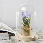 Стеклянный клош для декора Joysan 21 см