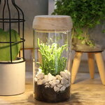 Стеклянная ваза для флорариума и композиций Lokrum 18 см с подсветкой, на батарейках