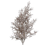 Декоративная ветка Коралл де Альдебранс 54 см нежно-пудровый