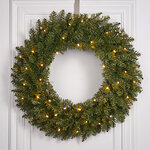 Венок с лампочками Данхил 61 см, 50 теплых белых LED ламп на батарейках, влагозащищенный, ПВХ