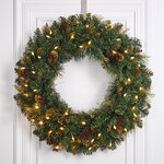 Венок с лампочками Golden Bristle 61 см, 50 теплых белых LED ламп, на батарейках, ЛЕСКА + ПВХ