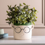 Декоративное кашпо Harry Potter: Smile 13*12 см зеленое