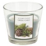 Ароматическая свеча Green Forest 8 см, в стеклянном стакане