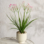 Искусственный цветок в горшке Таллинум 51 см розовый