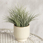 Искусственное растение в горшке Акорус - Bramhall 27 см