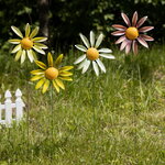 Набор садовых штекеров Ромашки Солнечного Города 72 см, 4 шт