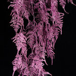 Декоративная ветка-лиана Аспарагус фиолетовая 110 см