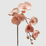 Искусственная ветка Орхидея 79 см светло-персиковая