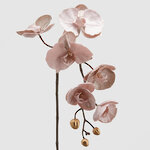 Искусственная ветка Орхидея 79 см светло-розовая