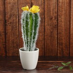 Искусственное растение в горшке Кактус Fleur Jaune 24 см
