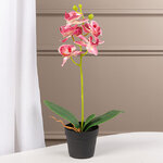 Искусственная орхидея в горшке Доминика 40 см