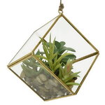 Декоративный подвесной флорариум Succulent 15 см