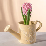 Декоративное кашпо-лейка Амальфи 22*10 см желтое, металл