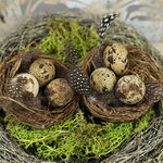 Декоративное украшение Пасхальное Гнездо Птички Аннис 8 см, 2 шт