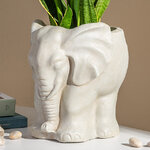 Кашпо для цветов King of Savannah 26*22 см бежевое