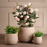 Набор декоративных кашпо Denson 18-38 см, 3 шт