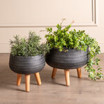 Набор декоративных кашпо Soranzo 23-26 см, 2 шт
