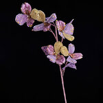 Искусственная ветка Цветущий Кизил 70 см