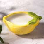 Ароматическая свеча Fruit - Лимон 14 см