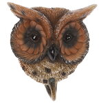 Настенный крючок Fairy Owl