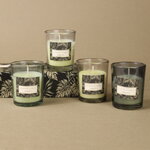 Набор ароматических свечей в стакане Finneoly - Island Palm 6 см, 4 шт, в подарочной упаковке