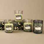 Набор ароматических свечей в стакане Finneoly - Jungle Safari 6 см, 4 шт, в подарочной упаковке