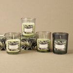 Набор ароматических свечей в стакане Finneoly - Tropical Paradise 6 см, 4 шт, в подарочной упаковке