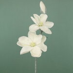 Искусственная Магнолия Adallia 70 см заснеженная