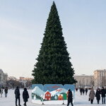 Уличная ствольная елка Альпийская 12 м, ЛЕСКА