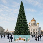 Уличная ствольная елка Альпийская 12 м, ПВХ