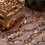 Светодиодная гирлянда Koopman Snake Comfort Basic 17 м, 1000 теплых белых LED ламп с мерцанием, зеленый ПВХ, таймер, IP44