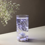 Подводный светильник-гирлянда Роса Оазис 1 м, 20 холодных белых LED