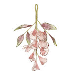Елочная игрушка Цветок Jasmia 28 см, нежно-розовая, подвеска
