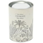 Ароматическая свеча в стакане Citrus Blossom 10 см