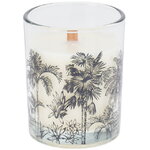 Ароматическая свеча в стакане Jungle Safari 10 см