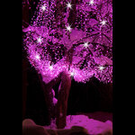 Гирлянды на дерево Клип Лайт Quality Light 100 м, 1000 розовых LED ламп, с мерцанием, прозрачный ПВХ, IP44