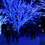 Гирлянды на дерево Клип Лайт Quality Light 60 м, 600 синих LED ламп, прозрачный ПВХ, IP44