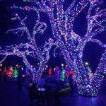 Клип Лайт - Спайдер Quality Light 60 м, 600 разноцветных LED ламп, с мерцанием, прозрачный ПВХ, IP44