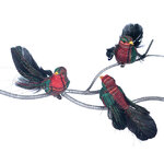 Елочная игрушка Птичка Vente Garden 14 см, клипса